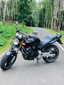 Honda Hornet 250 2009 for Sale Honda Hornet 250 2009 for Sale