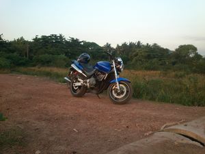Honda Hornet 250 2010 for Sale