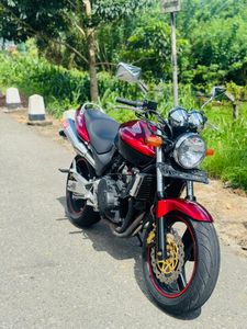 Honda Hornet 250 2014 for Sale