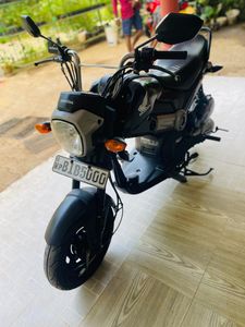 Honda Navi 2019 for Sale