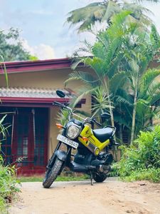 Honda Navi 2014 for Sale