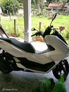 Honda PCX 125 2025 for Sale