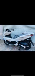 Honda PCX 160 2024 for Sale