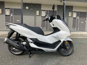 Honda PCX 160 ABS 2025 for Sale