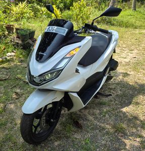 Honda PCX 2024 for Sale