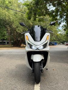 Honda PCX 2025 for Sale
