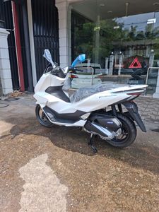 Honda PCX 2025 for Sale