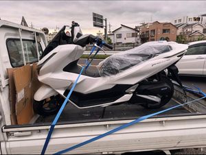 Honda PCX 2025 for Sale