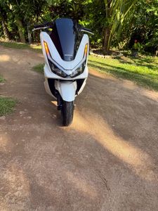 Honda PCX160 2025 for Sale
