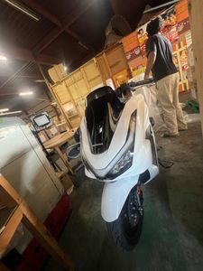 Honda PCX160 2025 Pearl White for Sale