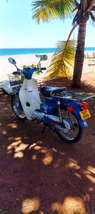 Honda Super Club 2003 for Sale