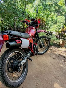 Honda XLR 1986 for Sale Honda XLR 1986 for Sale