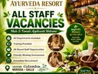 Hotel staff - Male Female Boutique Resort opportunity