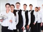 Hotel Staff - Matale