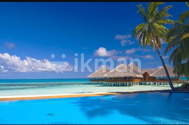 00c2ca7e-5a51-4bfc-9ec4-aa6f75aac2de