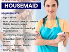 Housemaid Wanted - General household cleaning, laundry, and upkeep