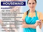 Housemaid Wanted - General household cleaning, laundry, and upkeep