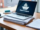Import Export Documentation Executive