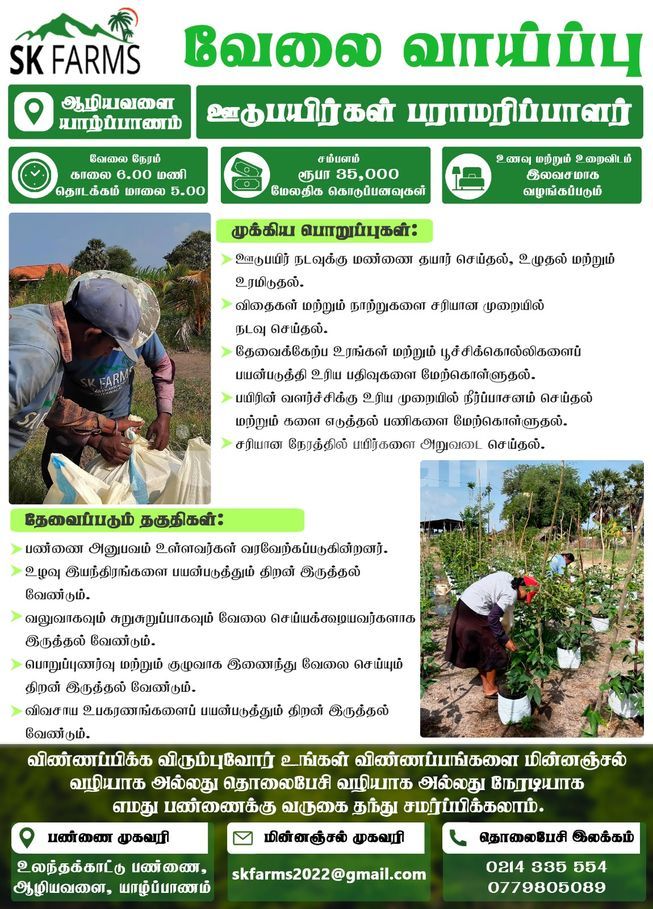 b22be785-146c-4926-b4ce-5c4ab7c2b716