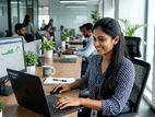IT Assistant - හලාවත