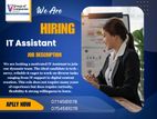 IT Assistant -Jaffna