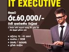 IT Executive - Maharagama