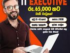 IT Executive - Maharagama