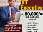 IT Executive - Maharagama