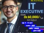 IT Executive - Maharagama