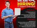 IT Executive - Matara