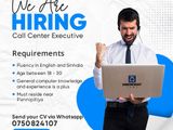 Call Center Executive
