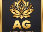 Junior Marketing Executive
