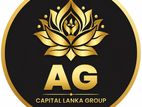 Junior Marketing Executive