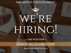 Junior Sales Executive