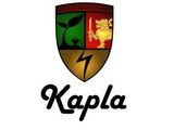 Junior Sales Manager