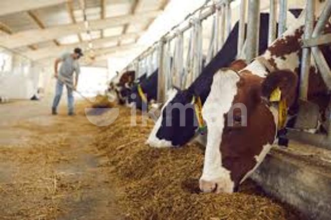 a9ccac5c-9cb0-426c-aaae-9d56ec3b28d0