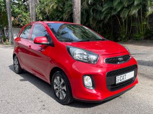 Kia Picanto LOW MILEAGE 39,000km 2016 for Sale