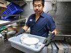 Kitchen Helper - Colombo 4