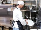 Kitchen Stewards ( cleaners) - Colombo
