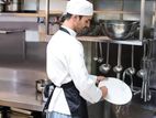 Kitchen Stewards - Colombo