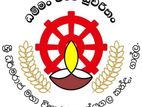 කෝකිවරයින් සහ මුලුතැන්ගෙයි සහයකින් අවශ්යයි..