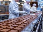 කර්මාන්ත ශාලා ඇසුරුම් අංශය සෙවක සෙවිකාවන්