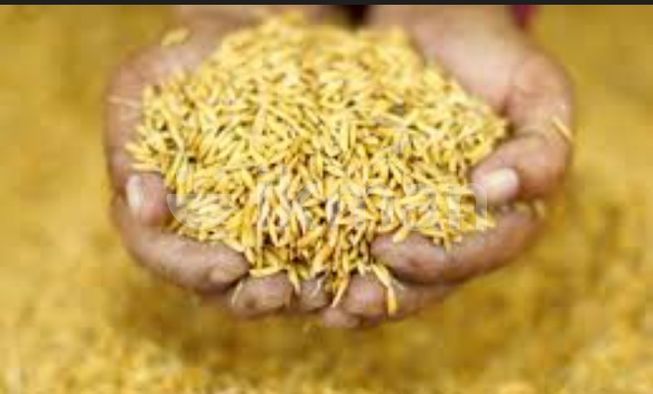 4f0cd9b0-75e6-4bdd-ab3a-3f9755666bd9