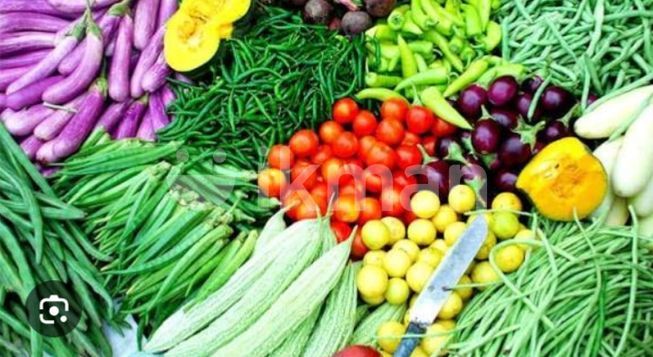 1ff553a5-825f-4211-955d-716e9d052a00