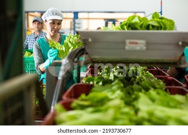 c46bd21c-6040-46d6-be24-beb342371ec3