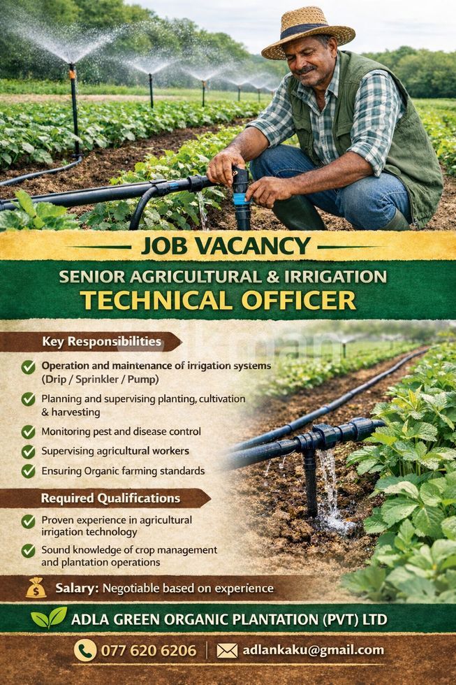 81c268ae-1806-4fdb-9cac-134ece11539d