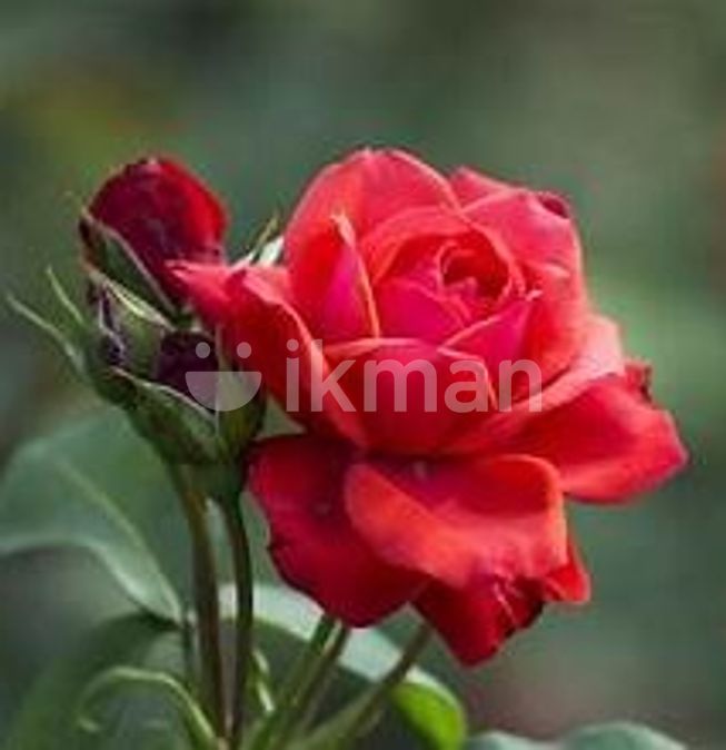 f0acae84-449c-4650-bbb9-60379c24f4af