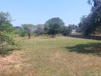 Land for Sale in Dambulla, Audangawa