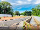 Land for Sale in Dambulla