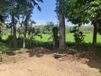 Land for Sale in Horana